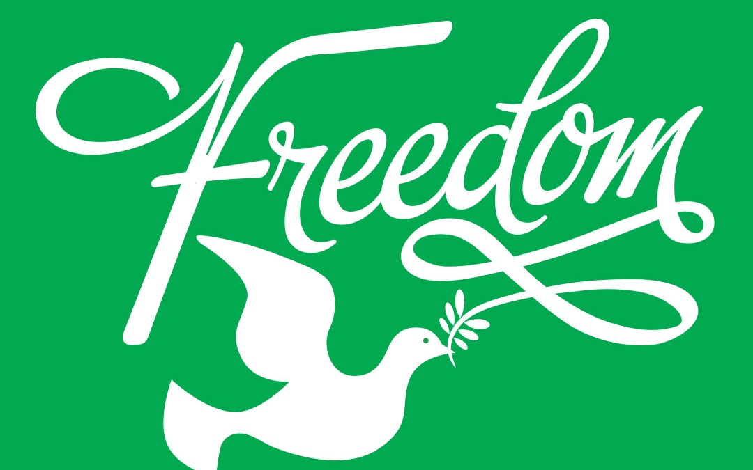 Freedom – Identity and Branding